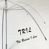 透明 ビニール面 1面