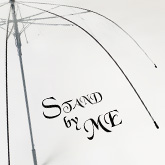 透明 ビニール面 1面