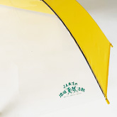 55㎝ 子供傘 ジャンプ式 ビニール面 1面